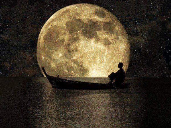 ¸.•°°✭Miros*ೄ.•*¨ tweet media
