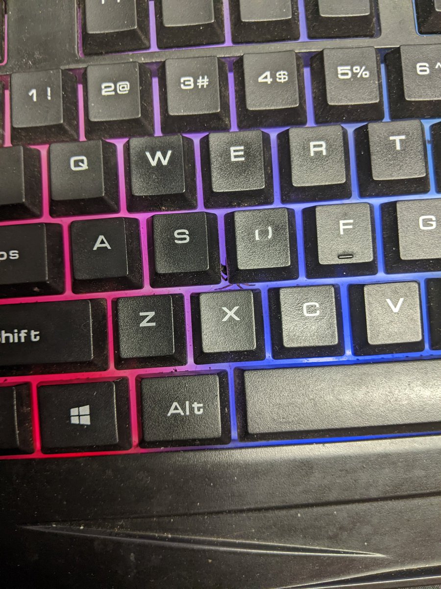 cal_the_rapper's tweet photo. I was sitting at my desk, working and then a spider fell from above onto my keyboard, panicked and then climbed under the keys and now he can't figure out how to get out. 🤦#spider #keyboard https://t.co/QZrUv2f9oI