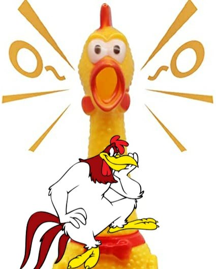 AviFlyGirl's tweet photo. @Gary4GovSC Spoiled little doggy! I hear she likes rubbery chickens! Does #FoghornLeghorn Henry #McDisaster know she's sharpening her teeth for his seat? 😂 https://t.co/X4kSgNs5jr