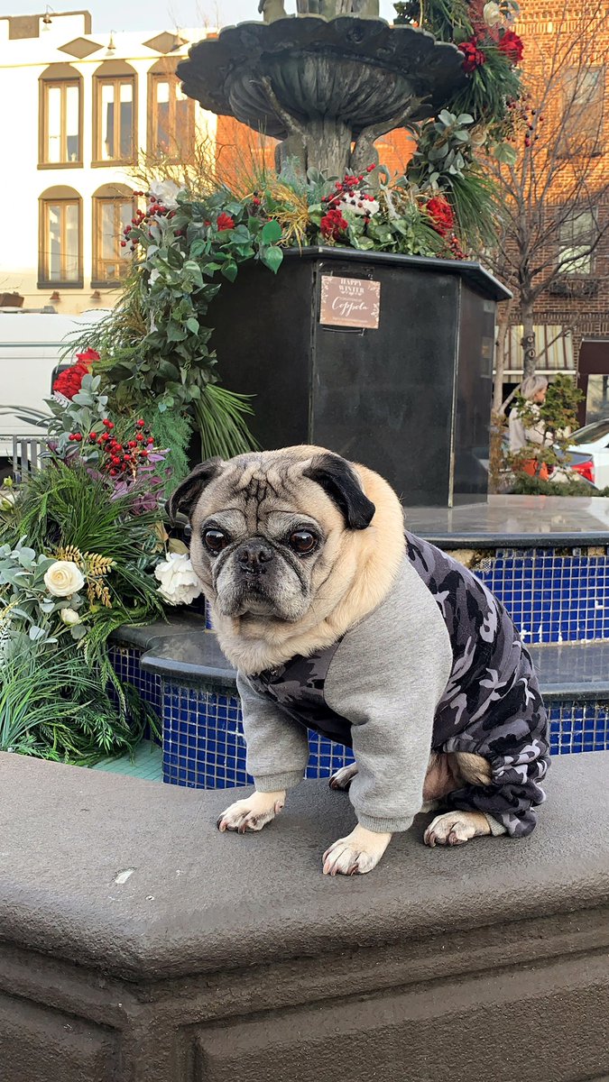 Realized I went a lil heavy on the neck 😐