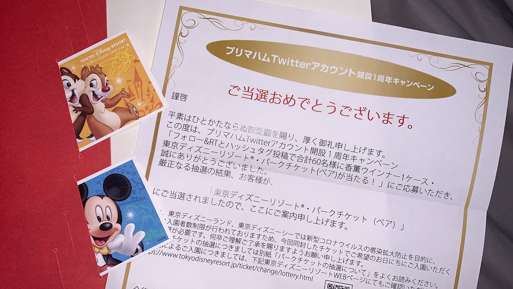 ぽちゃくろ Pocha kuro Twitter