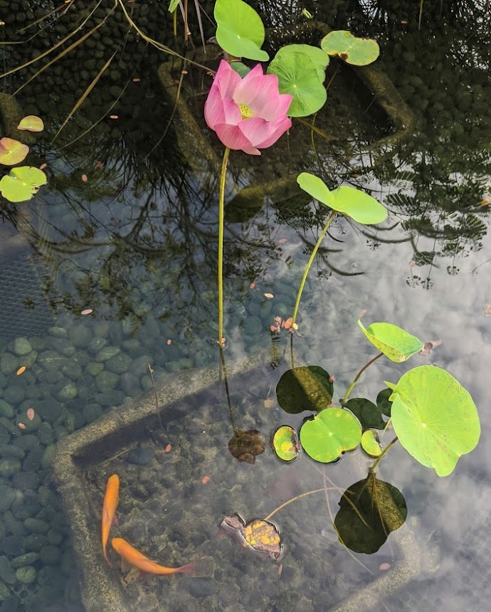 Andrew K Andykrick Twitter