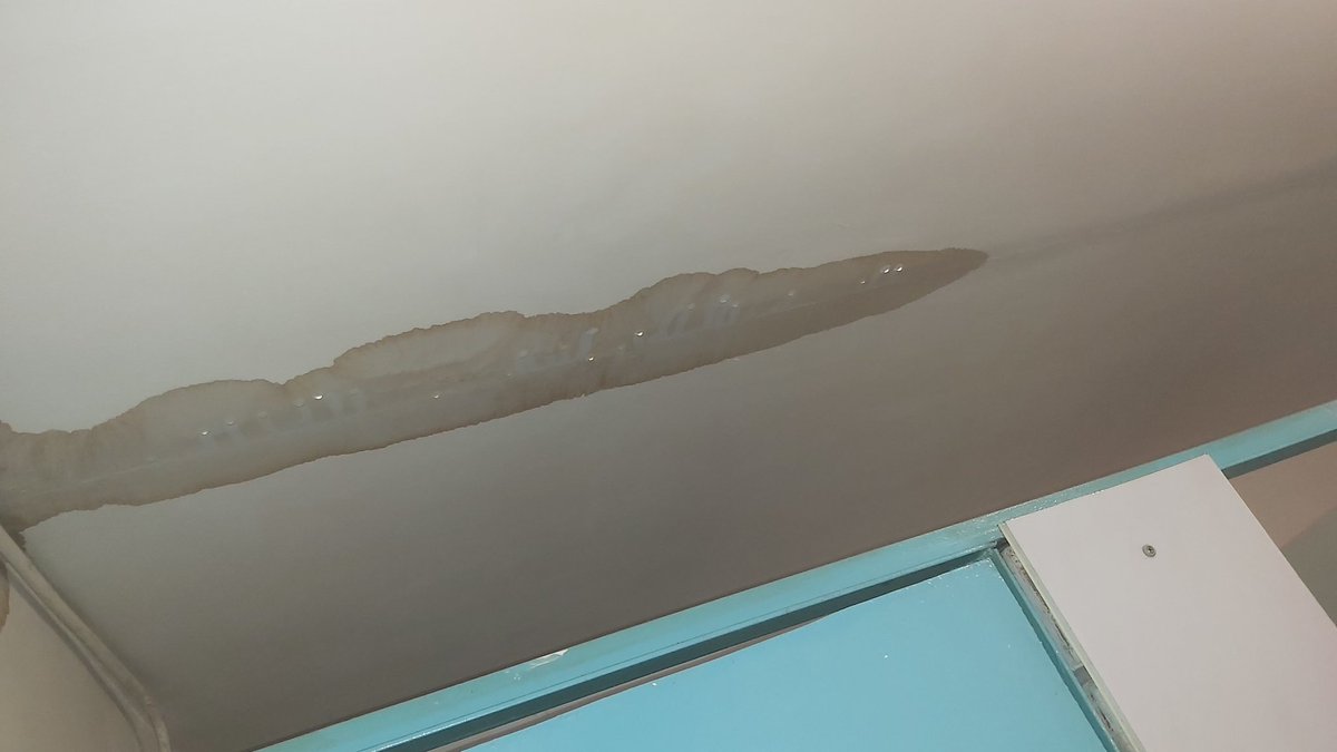 Наргиз tweet media