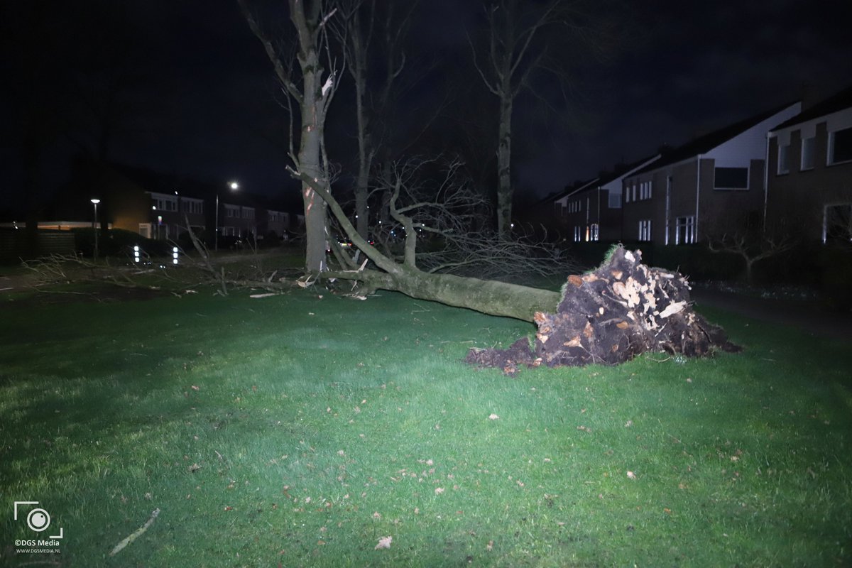 media_dgs's tweet photo. #Brandweer #Stadskanaal @BrandweerSTK moet in actie komen in #Mussel vanwege een omgewaaide boom op de #N975 #Musselweg.
Ook in Stadskanaal aan de #Dwarssplitting is een boom omgewaaid. 

Facebook:
https://t.co/8xWTtfvZBN
Instagram:
https://t.co/3GbPXFMcy8 https://t.co/afRwhrWNsH