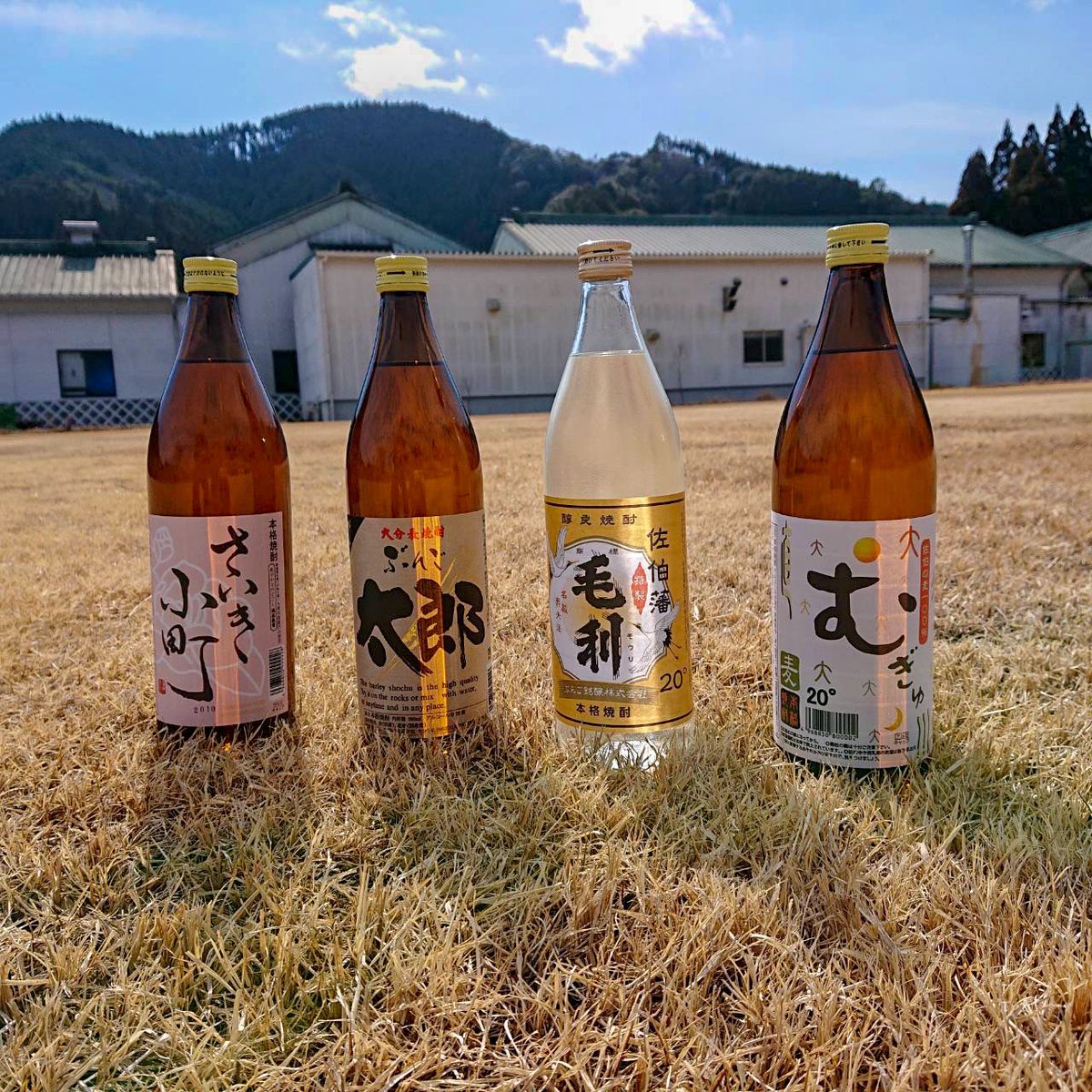 ♨️地元で愛される20度💖

焼酎といえば25度のイメージが強いですか？
実は!大分県、宮崎県では、20度の焼酎がメジャーなんです！
魅力たっぷりの麦焼酎です💓

#おおいた麦焼酎　#ぶんご銘醸　#大分県　#佐伯市　#麦焼酎　#麦焼酎が好きな人と繋がりたい