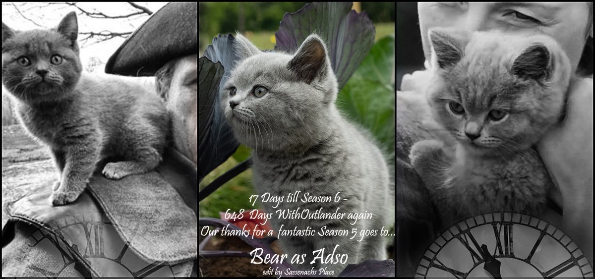 SassenachPlace's tweet photo. #Outlander #Droughtlander
#WithOutlanderAgain Day 648- 17 Days till Season 6
#ThanksToTheCast #S5
Bear as Adso
@AngusAngels @apapworth58 @LuckeyLass @rosannefrank25 @10MinDQ @brittafahl70
@danielalippke @LallyFawn @SwietjesO
@OutlanderHome https://t.co/6xihrGc4hl