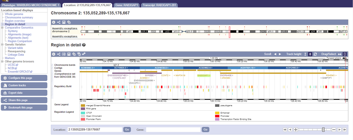 Shosimple22's tweet photo. This is a screenshot of specific locations on the chromosome linked with Warburg Micro Syndrome, which is associated with osteoporosis. #prescottgenomics https://t.co/GDTrWQU4yh