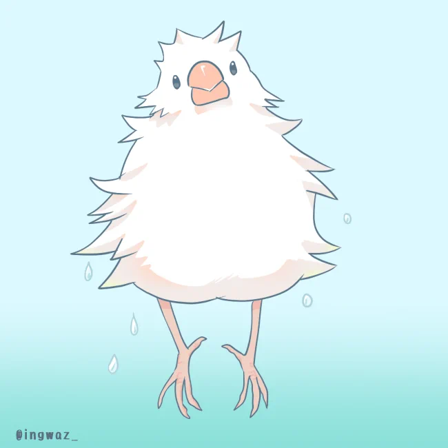 おふろあがり
#Buncho #javasparrow #文鳥 