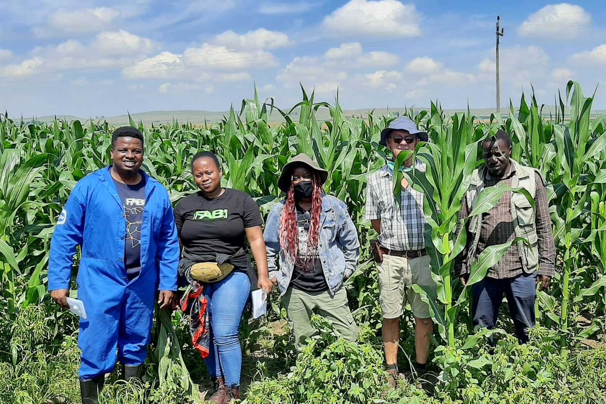 Fabiteam1's tweet photo. The Grain Research Program (GRP) team on their field trip to Mpumalanga that started on 30 January. A big thanks to Grain SA for linking us with the farmers and to the farmers for allowing us to survey their grain farms.
https://t.co/QQNWahRg29 https://t.co/MESvHwoYbB