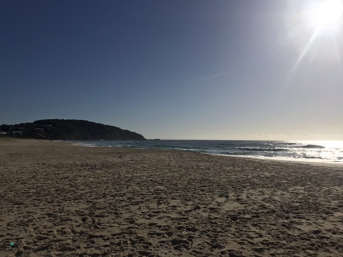 #PacificPalms putting on a glorious day for the last day of #fieldwork in our @Uni_Newcastle @UoN_CaMS #coastal science course!