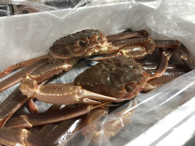 生きてる🦀届いた 