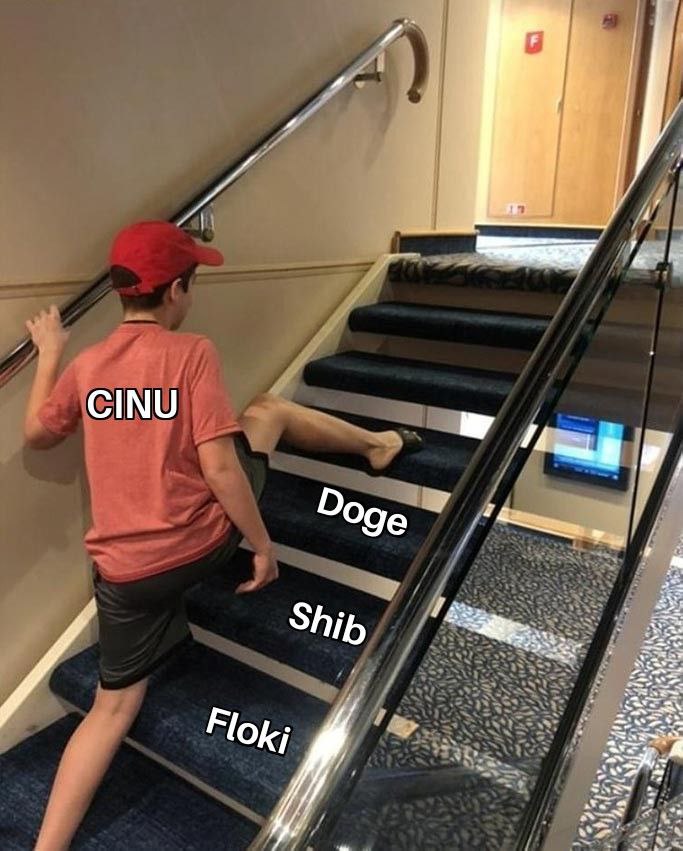 I can't lie some days I'll be feeling like I'm getting the sonic rings knocked out of me, I'm holding on strong.  Is simply waiting to take a big step forward. HODL to Cheems Inu. I believe you Darin! <a href="/1goonrich/">Quasar.Exe</a> prove them wrong, Not just a goon... A genius MEME coin market Guru!