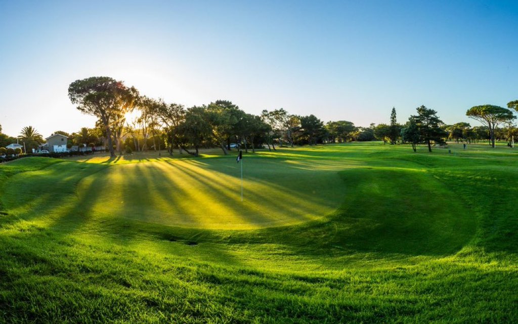 CapeTownOpen's tweet photo. ⛳ @royalcapegolf and @RondeboschGC are ready to host the #BainsWhiskyCTOpen

ℹ️ 2000 fully vaccinated spectators will be allowed at each course per day. 

🎫 Tickets will be issued at the gates , at a first-come, first-serve basis. 

#Greatnessbeginshere 
#CapeTownOpen https://t.co/HMD9UQTNOF