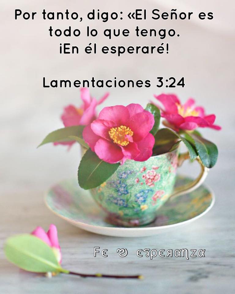 rottmarie's tweet photo. https://t.co/TRVArHU0Lm