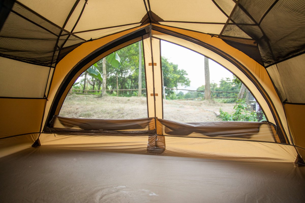 OneTigris tweet media