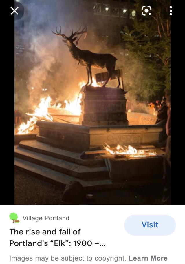 chibicelina's tweet photo. @Nerdrotics We hope to leave #Portland #Oregon soon. The Summer of 2020, the way #mayorwheeler🤡 and #GovBrown 🤡🤡 let the city burn, the mask mandates and the rampant #gunviolence, this isn’t home anymore. #pdx 💔 https://t.co/OVOhPLmmhI