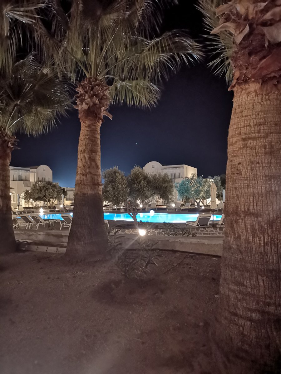 👑King 🦚 Peacock👑 tweet media