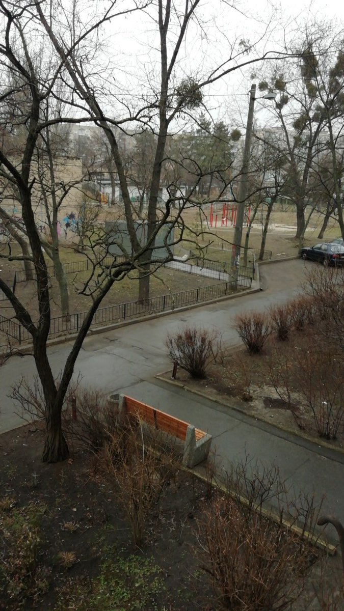 oturlyuno's tweet photo. Начался дождик. Пока моросит не сильный. Состояние как дурное. На погоду наверное. Пробовал поспать - не получилось. Просто полежал. https://t.co/EkrWrck7dk