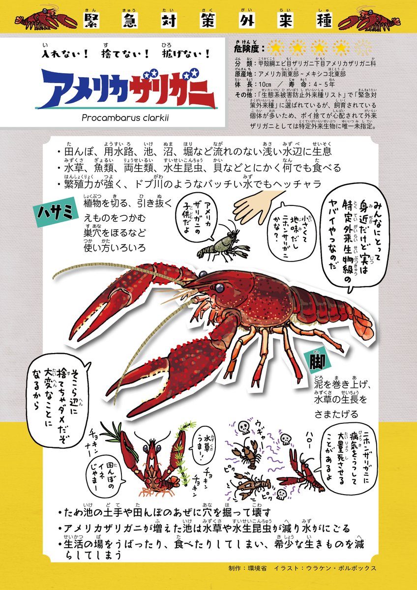 小学校で、🦞アメリカザリガニ導入の歴史と影響を座学でやり、野外学習で駆除活動をやったら、外来生物とその向き合い方についてかなりの学びになると思うんだけど、文科省と環境省が組んでやってくんないだろうか。
https://t.co/llUcDzLWkZ

https://t.co/Tnu187HT2w 