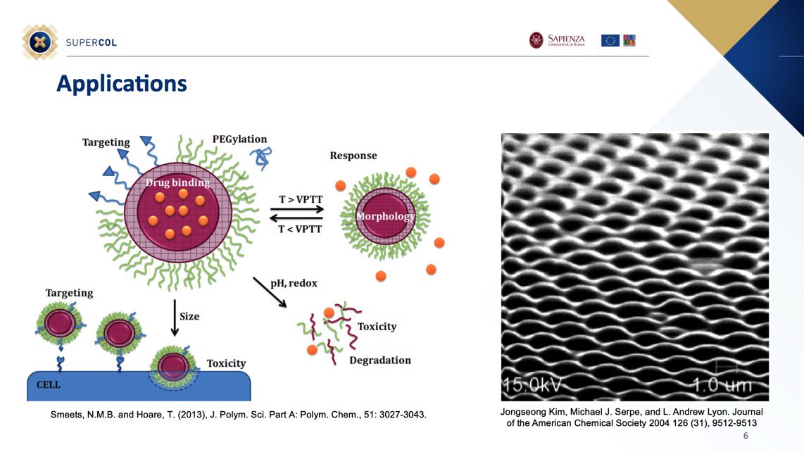 Yesterday <a href="/RodriRivasB/">Rodrigo Rivas B</a>, one of our ESRs <a href="/SapienzaRoma/">Sapienza Università di Roma</a>, gave a great talk on “Simulating Microgels” to share some of the SuperCol’s work with his fellow PhD students.