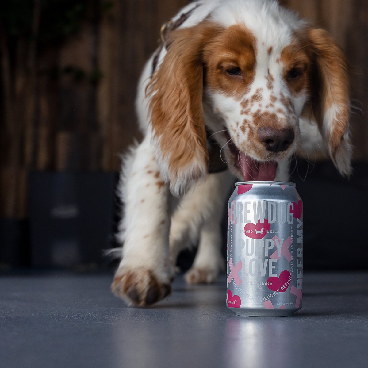 BrewDog tweet media