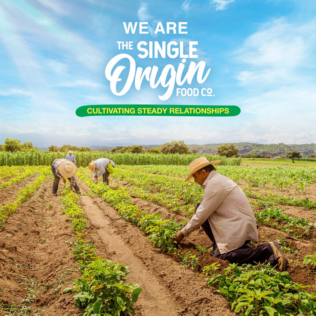 Food has always been key to building steady relationships between people.
#TheSingleOriginFoodCo #SOFCO #SingleOrigin #Organic #Food #OrganicFarming #USDAOrganic #NonGMO #PlantBased #Vegan #Vegetarian #FairTrade #Ethical #EthicallySourced #Sustainable #Sustainability #GoGreen