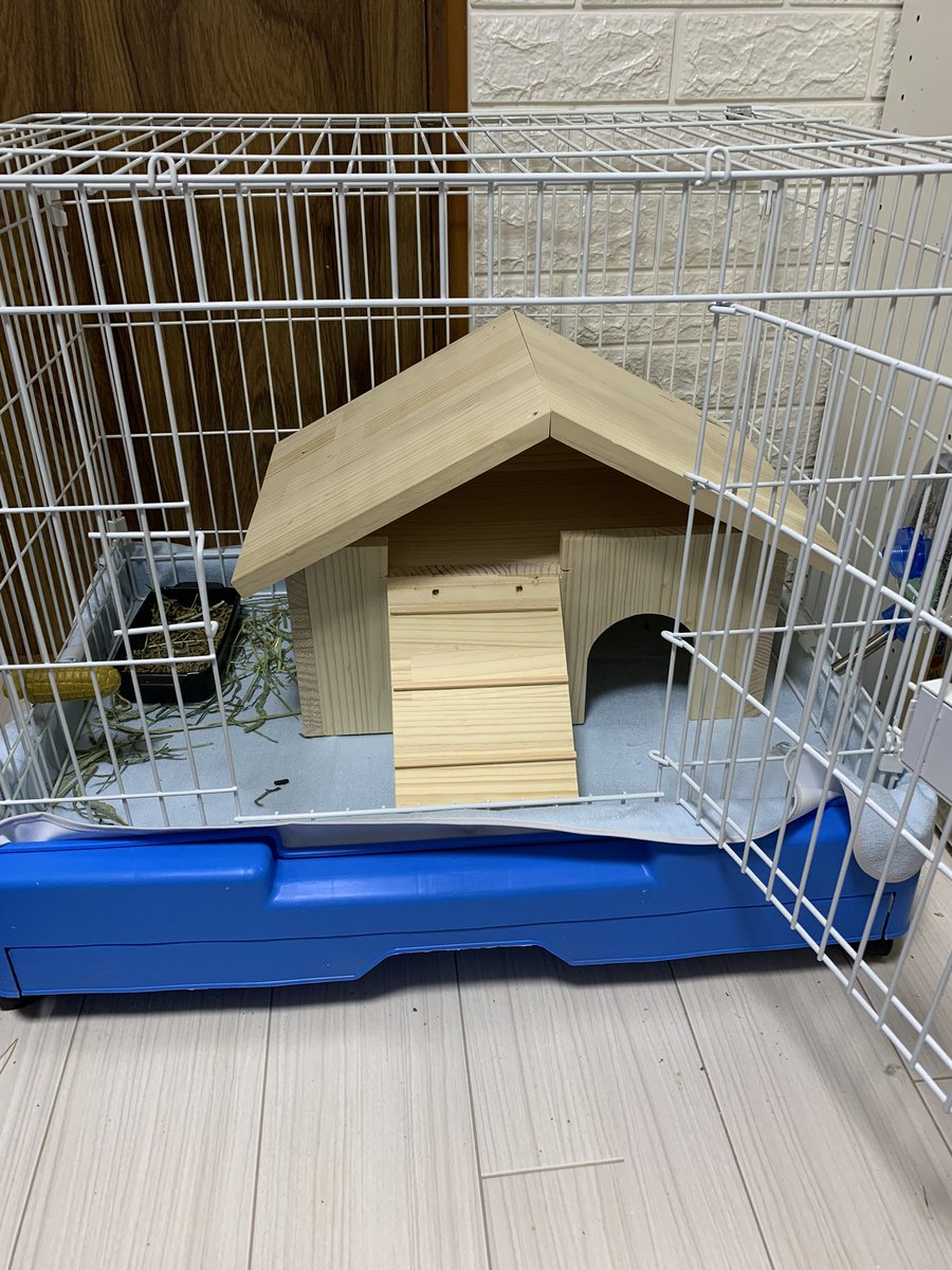 AO_cage's tweet photo. 完全にサイズ感を間違えた例 https://t.co/N6AnGJcPb1