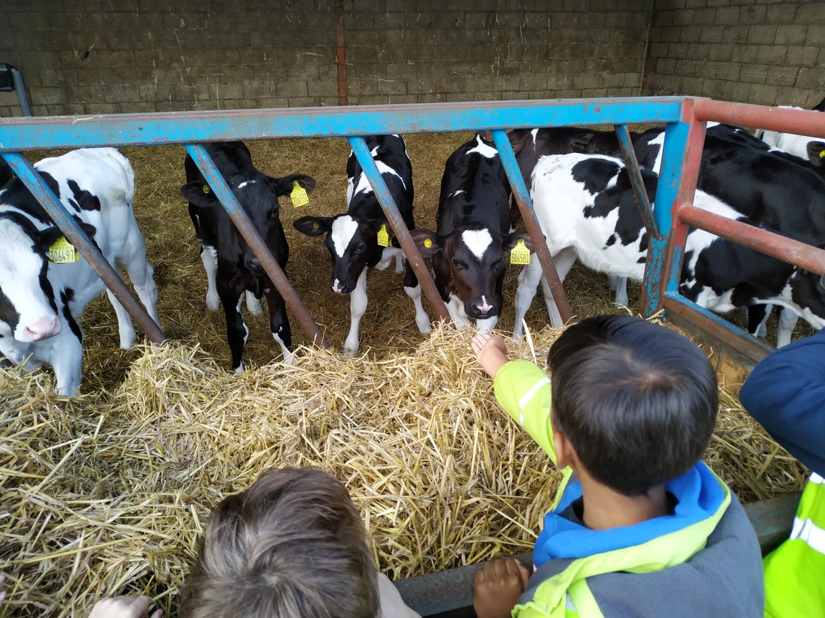 Do you think it's important for children to understand where food comes from?  

Are you a farmer or grower interested in #EducationalAccess (ED1)? 

£309 per visit as part of Mid and Higher-Tier Countryside Stewardship. 

👉 bit.ly/3rFFPeY  

#RuralPayments #EqualAccess