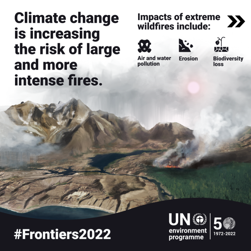UNEP's tweet photo. Wildfires are becoming much larger, more dangerous and more likely to occur as a result of climate change and human influence.

Our #Frontiers2022 report breaks down the challenges from and solutions to this critical issue: https://t.co/PnBm1pR4Xd