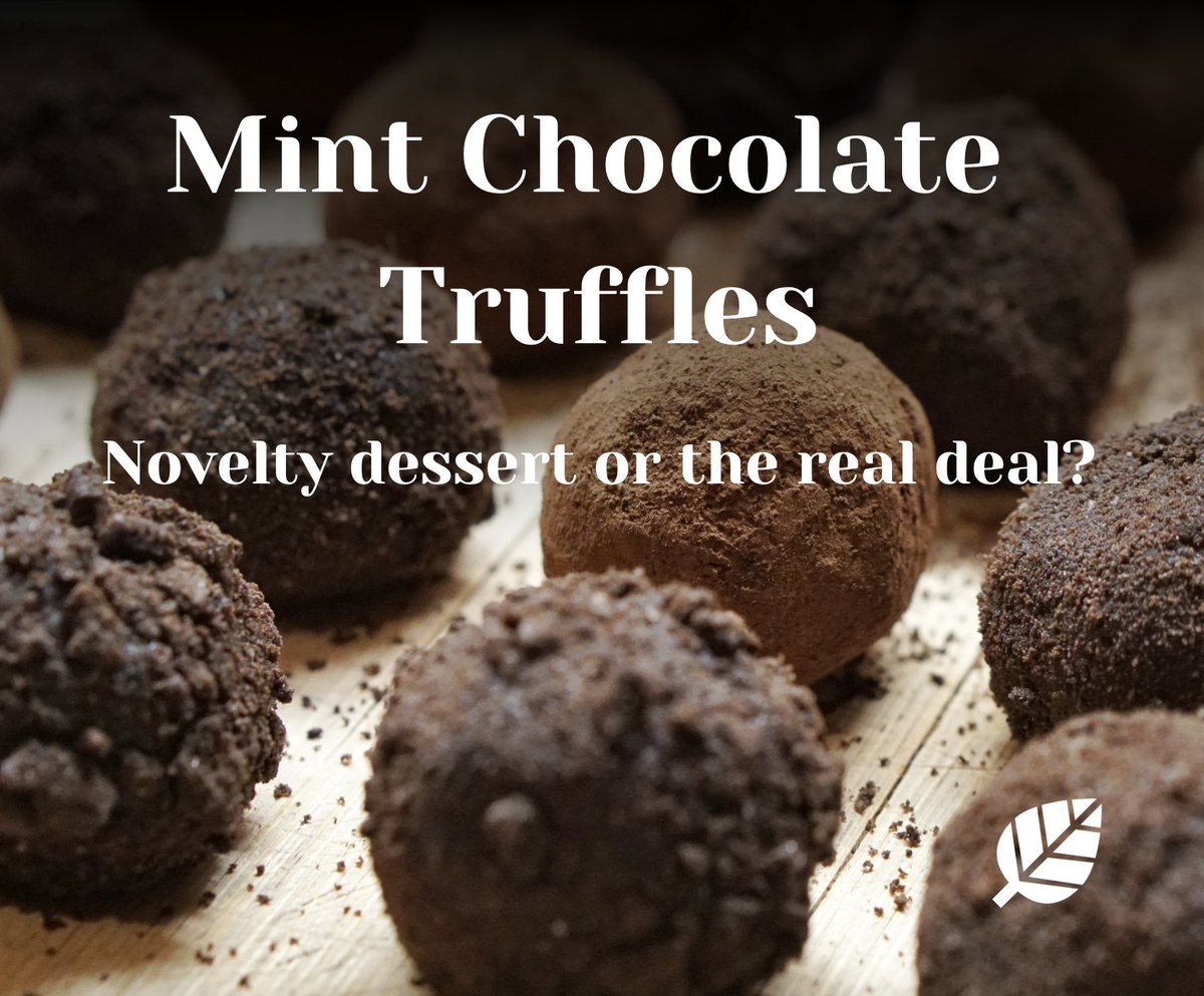 intmintmint's tweet photo. Feeling in the mood for some truffles? Why not indulge yourself in these mint inspired chocolate truffles..click the link to find out more: https://t.co/oUzlCZVbLx #food #mint #ChocolateDay #truffle #mintymatters #dessert https://t.co/ABGDMeQUTw