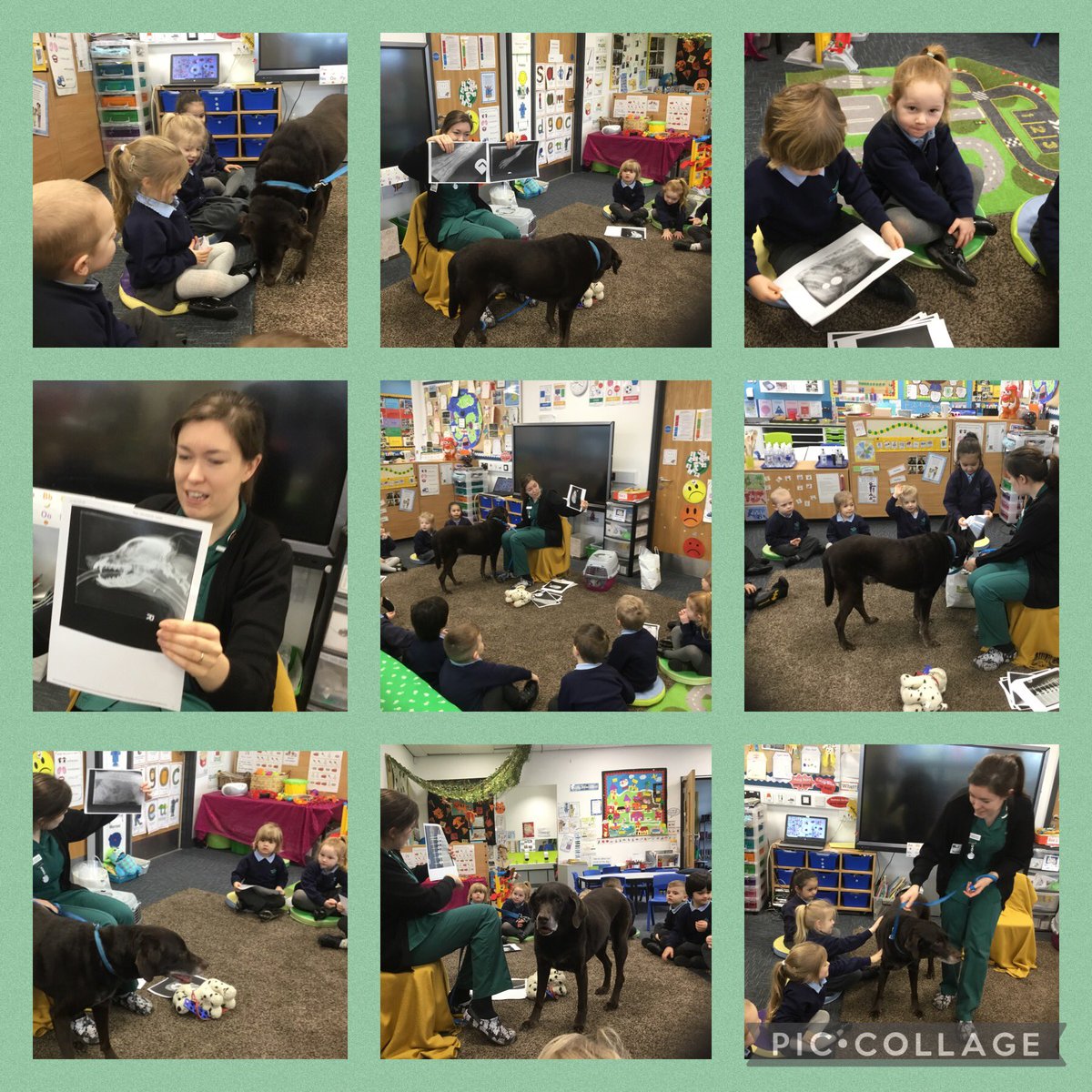 MrsAClare1's tweet photo. We are feeling inspired after our morning visit from Coco and his vet nurse. We learnt about the different jobs you need to do to become a vet. We enjoyed sharing books in the library. #inspired #caring @KirkbrideMrs @Discovery_Hyde https://t.co/fjDTv5Tuwz