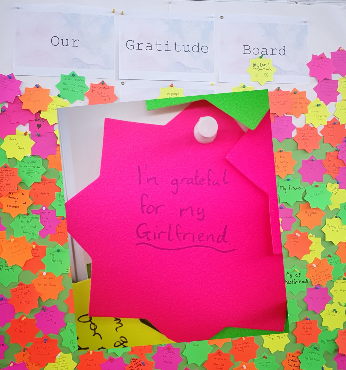 Dani Gill tweet media