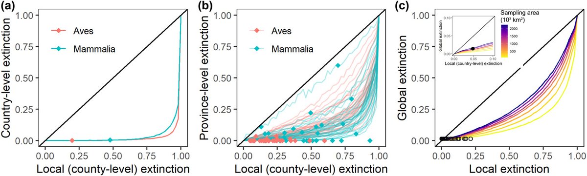The relationship between local and regional extinction rates depends on species distribution patterns
onlinelibrary.wiley.com/doi/10.1111/ec…
#distribution #extinction #birds #mammals #RStats