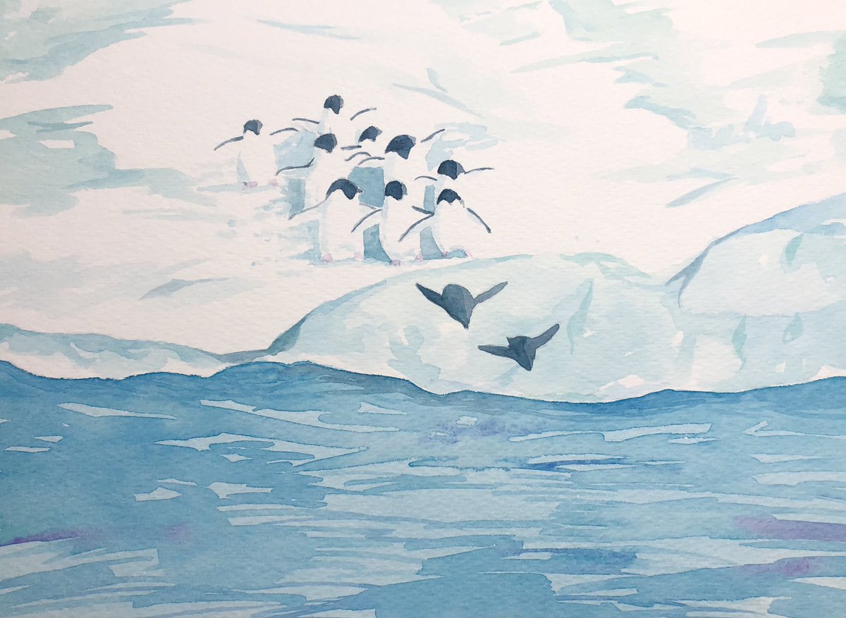 南極の静けさ ペンギンラッシュのイラスト