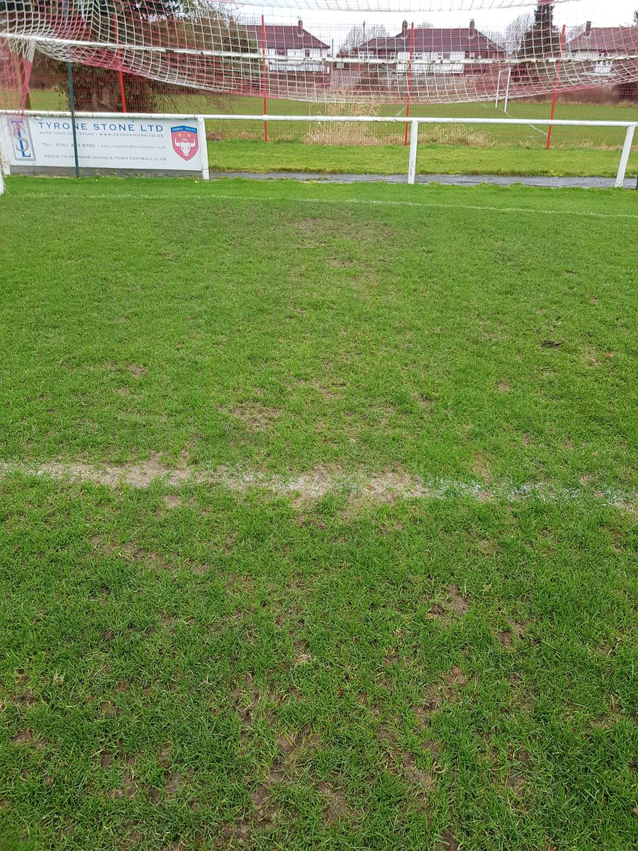BrushesNwltd's tweet photo. Pitch update π€ best left alone, few minor gusty wind issues but the goal mouths are holding on well π.
#goingissoft https://t.co/1q3QthBtZi