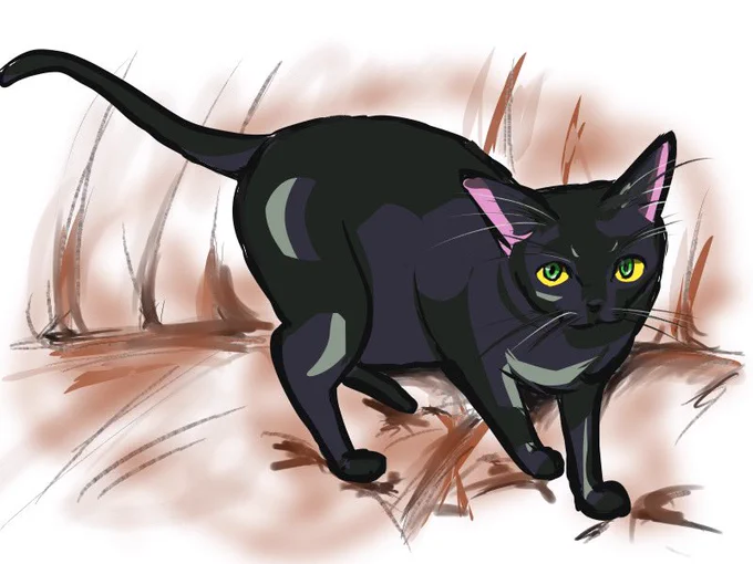 猫 #猫 #イラスト