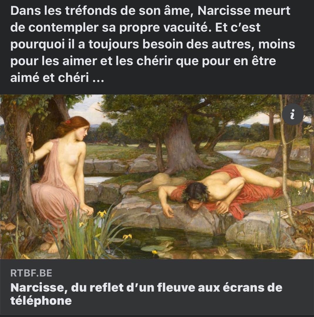 Le numérique et la création du Narcisse 2.0