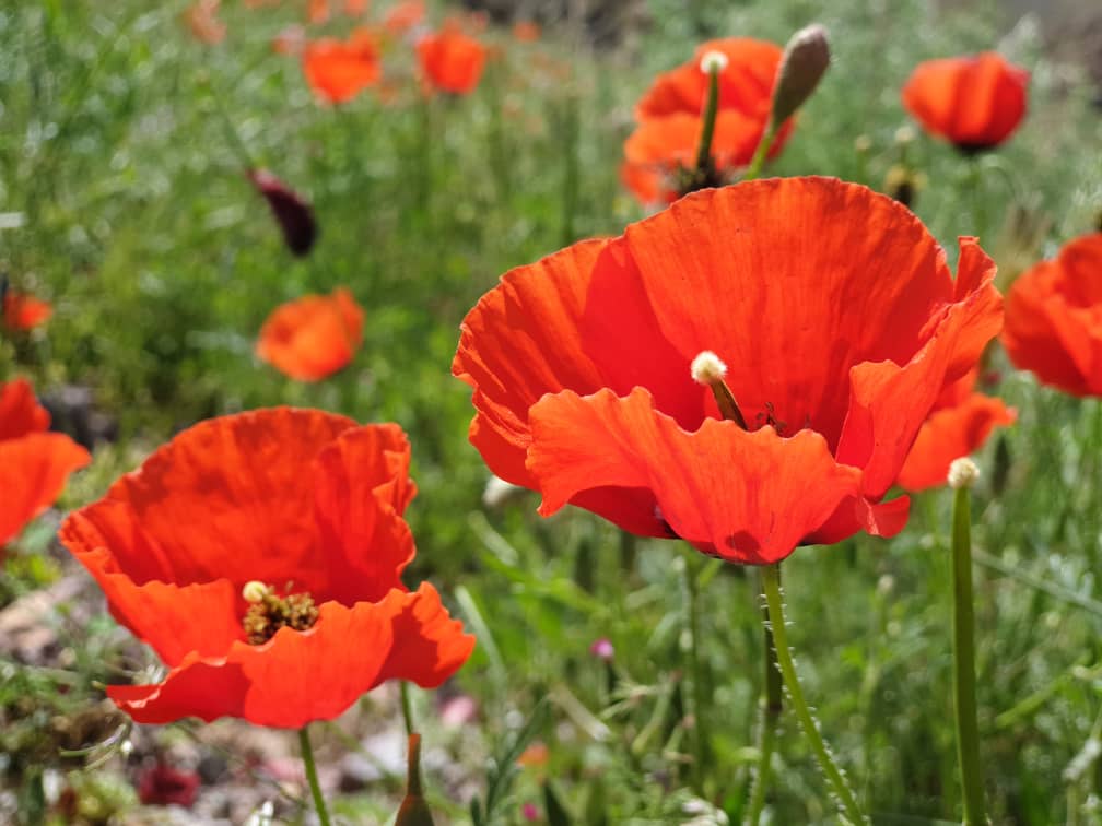 Gm frens😍🤩
#NFT #NFTs #NFT #nftcollector #NFTartist