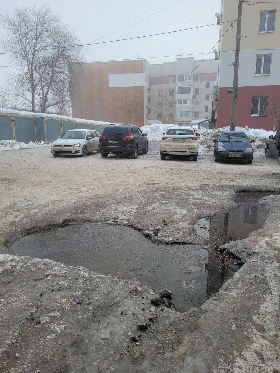 Евгения Гавриченко tweet media