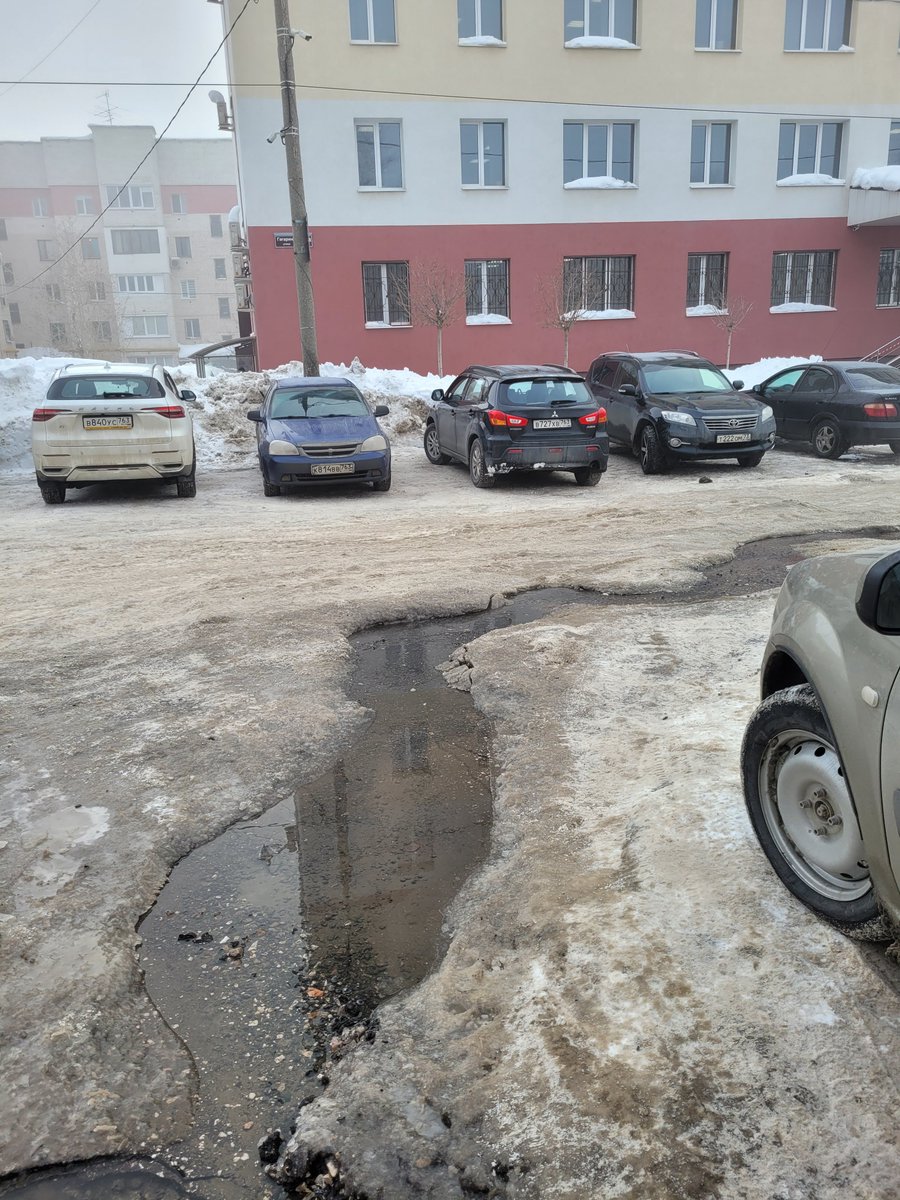 Евгения Гавриченко tweet media