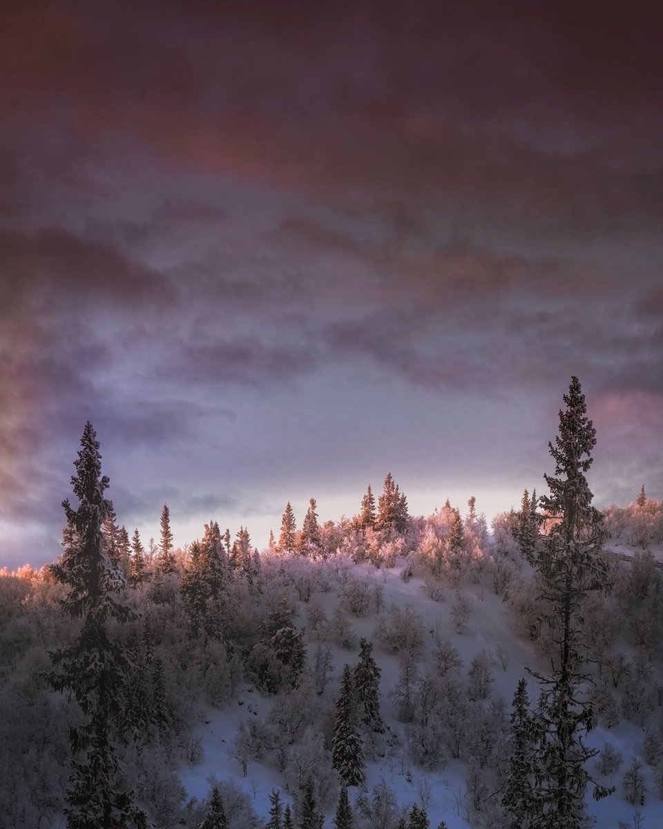 Absolutely stunning evening in Vemdalen, Sweden. The sun is about to hide behind the mountain but succeeds to light up the tip of the mountain #landscape #mountains #sveden