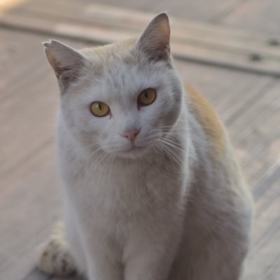 2_f4w's tweet photo. #新しいプロフィール画像 https://t.co/9TNpJFjXWW
