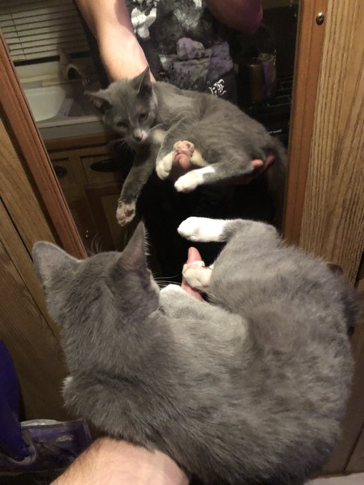 yukio is presented with himself, incapable of reflection without the help of man, he sees things his