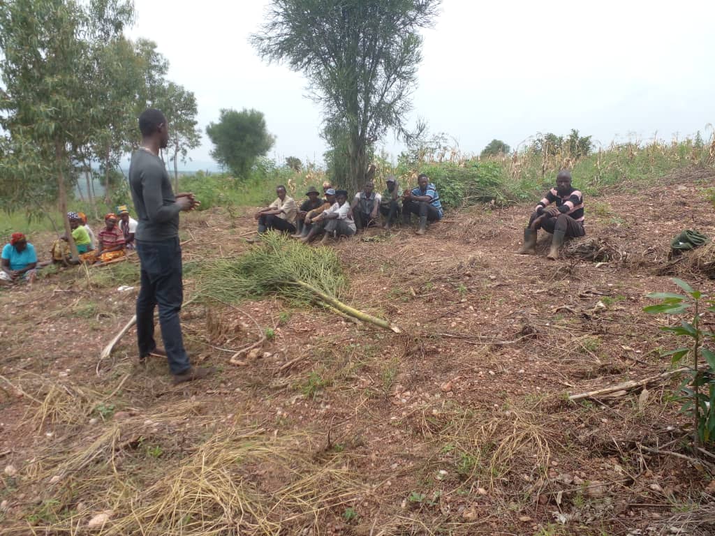 RDO_Rwanda's tweet image. @RDO_Rwanda team headed by Senior #extensionist conducted field visit in 4 different cooperatives in Rwinkwavu &amp;amp; Murundi sectors @KayonzaDistrict #Koaimu gacaca, #Twungubumwe Ryamanyoni #Cocusomarwi &amp;amp; #Indatwa Kayonza