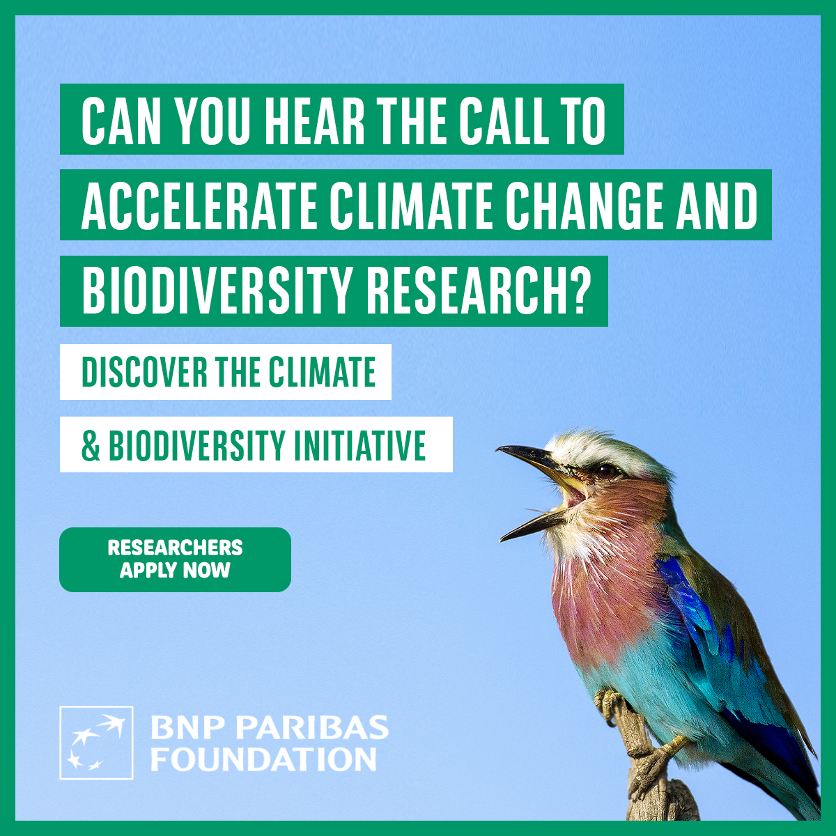 FondationBNPP's tweet photo. 🌎 Can you hear the call ? If like us at the BNP Paribas Foundation you can hear it, #AnswertheCall. Researchers, apply now for the #ClimateBiodiversity Initiative on https://t.co/W1iAhnsEao https://t.co/aFzMOTMpbI