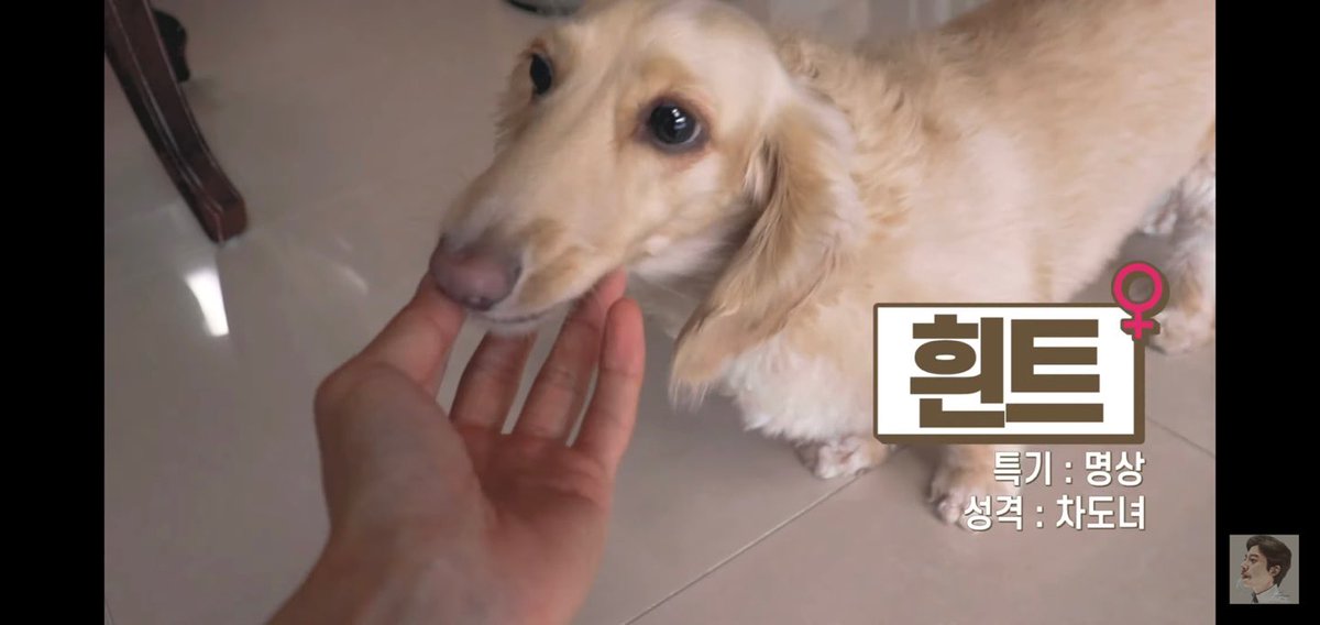 kwakyg_1226's tweet photo. 아시발 곽윤기 반려견들
쇼트 성격 곽윤기 ㅇㅈㄹ 개웃기다 아ㅠ https://t.co/H9FKtQbsZu