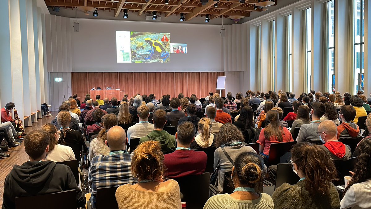 Biology22 Basel (@biology22basel) on Twitter photo Our first plenary talk at #Biology22Basel presented by <a href="/biobiiana/">Bibiana Rojas</a> on Aposematism in Amazonian frogs! Our first plenary talk at #Biology22Basel presented by <a href="/biobiiana/">Bibiana Rojas</a> on Aposematism in Amazonian frogs!