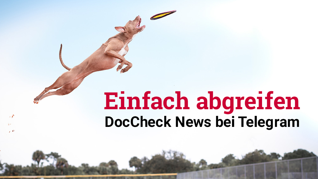 DocCheck's tweet image. Auf #Telegram wird nicht nur geschwurbelt – die #DocCheck News sind auch noch da. Holt euch hier eure wöchentliche Dosis #News! 

bit.ly/3oU3mXA
