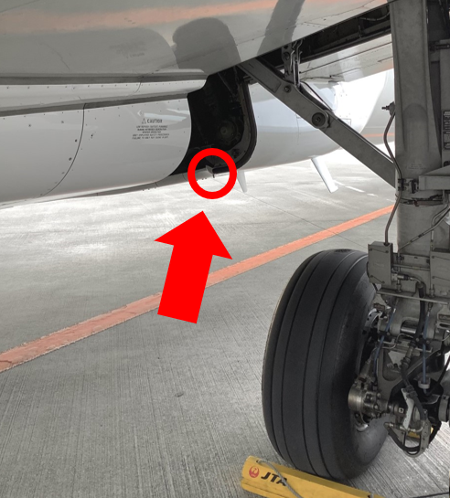 いきなりクイズ🕔 / B737-800型機の 主脚を格納する場所に ついている