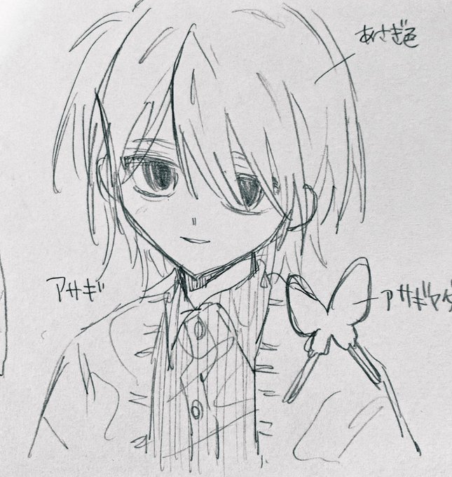 新しい創作 カモ 